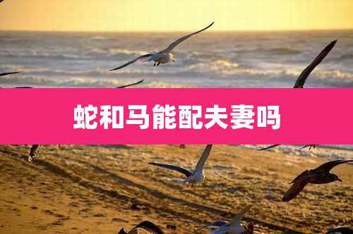 蛇和马能配夫妻吗