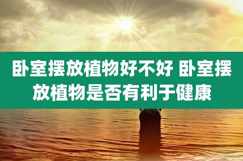 卧室摆放植物好不好 卧室摆放植物是否有利于健康