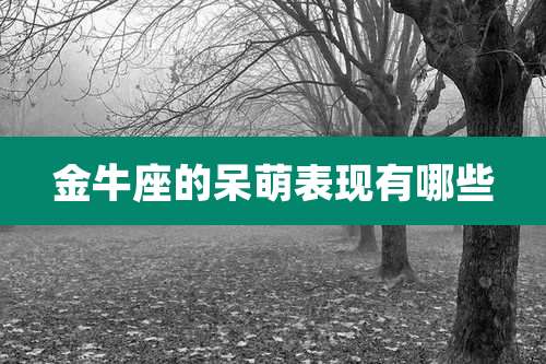 金牛座的呆萌表现有哪些