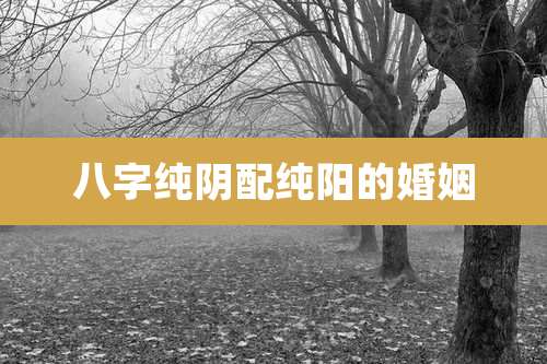 八字纯阴配纯阳的婚姻