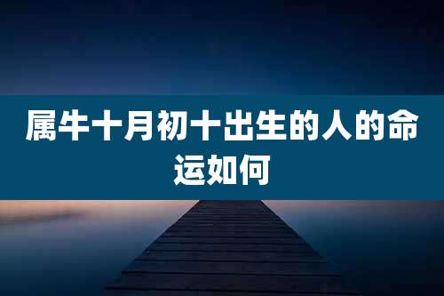 属牛十月初十出生的人的命运如何