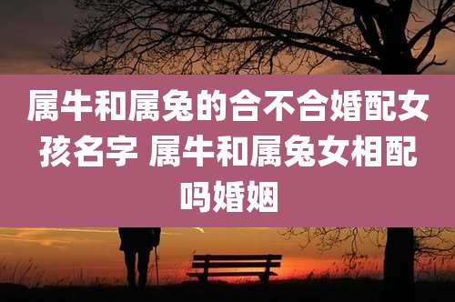 属牛和属兔的合不合婚配女孩名字 属牛和属兔女相配吗婚姻