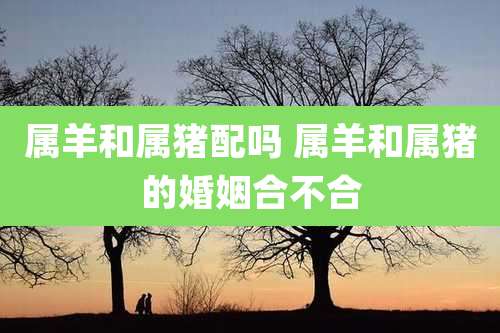 属羊和属猪配吗 属羊和属猪的婚姻合不合