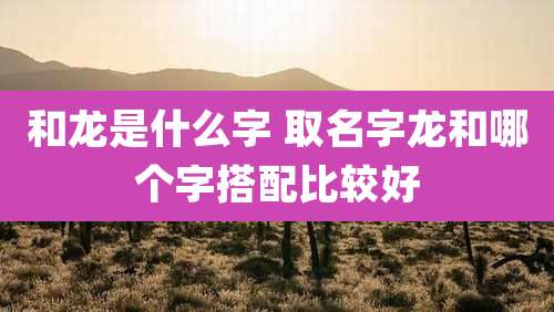和龙是什么字 取名字龙和哪个字搭配比较好