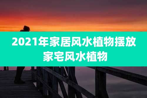 2021年家居风水植物摆放 家宅风水植物