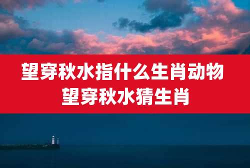 望穿秋水指什么生肖动物 望穿秋水猜生肖