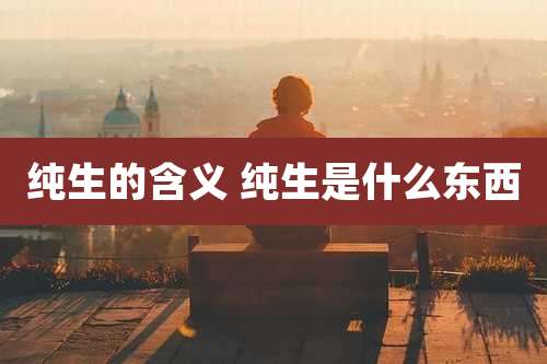 纯生的含义 纯生是什么东西