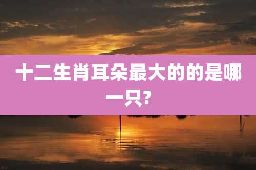 十二生肖耳朵最大的的是哪一只?