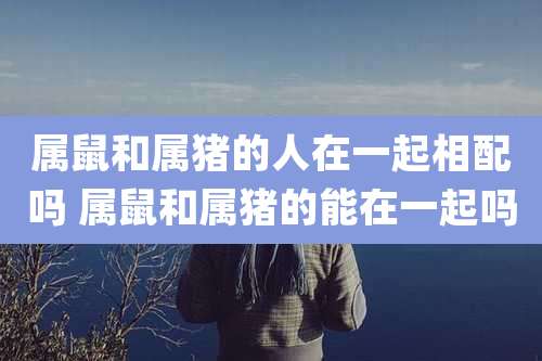 属鼠和属猪的人在一起相配吗 属鼠和属猪的能在一起吗