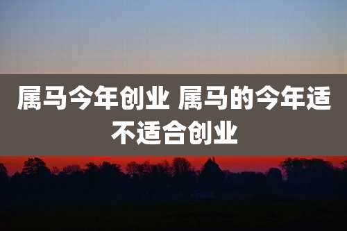 属马今年创业 属马的今年适不适合创业