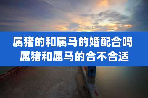 属猪的和属马的婚配合吗 属猪和属马的合不合适