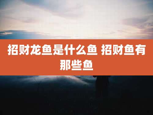 招财龙鱼是什么鱼 招财鱼有那些鱼