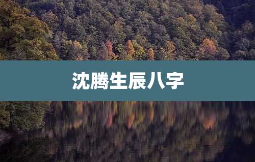 沈腾生辰八字