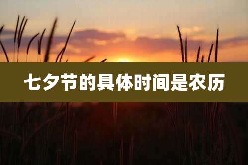 七夕节的具体时间是农历