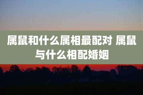 属鼠和什么属相最配对 属鼠与什么相配婚姻