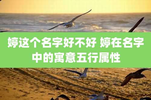 婷这个名字好不好 婷在名字中的寓意五行属性