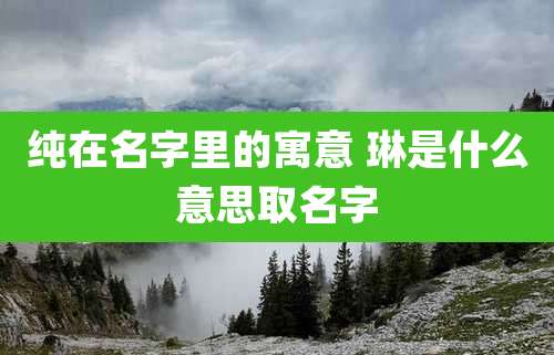 纯在名字里的寓意 琳是什么意思取名字