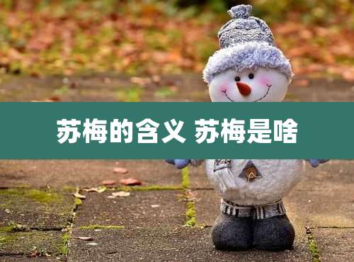 苏梅的含义 苏梅是啥