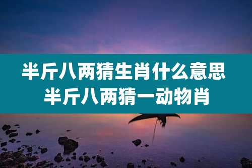 半斤八两猜生肖什么意思 半斤八两猜一动物肖