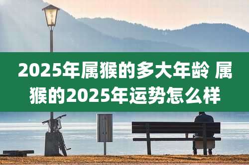 2025年属猴的多大年龄 属猴的2025年运势怎么样