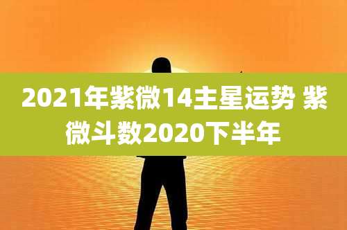 2021年紫微14主星运势 紫微斗数2020下半年