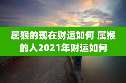 属猴的现在财运如何 属猴的人2021年财运如何