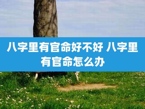 八字里有官命好不好 八字里有官命怎么办