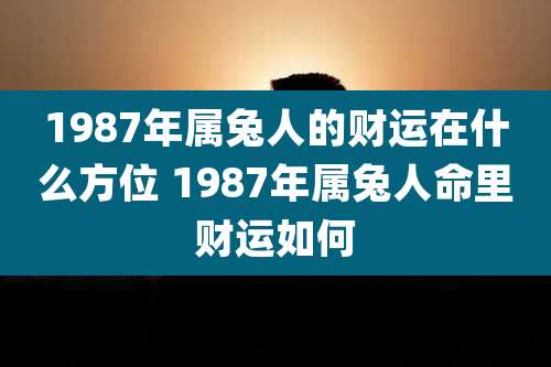 1987年属兔人的财运在什么方位 1987年属兔人命里财运如何