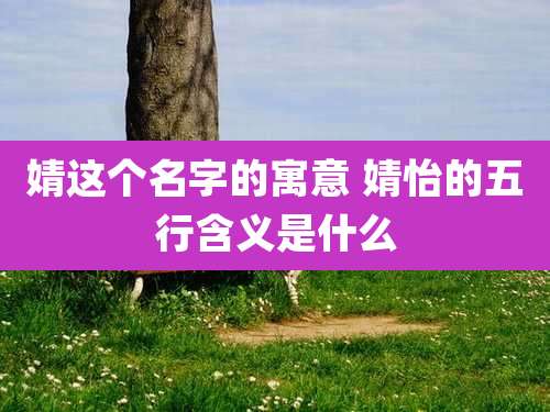 婧这个名字的寓意 婧怡的五行含义是什么