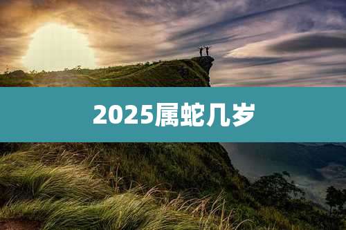2025属蛇几岁