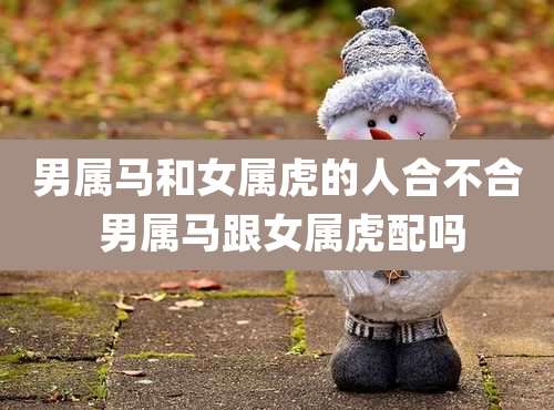 男属马和女属虎的人合不合 男属马跟女属虎配吗