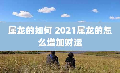 属龙的如何 2021属龙的怎么增加财运