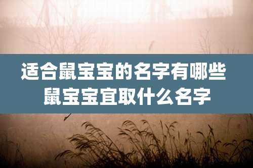 适合鼠宝宝的名字有哪些 鼠宝宝宜取什么名字