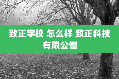 致正学校 怎么样 致正科技有限公司