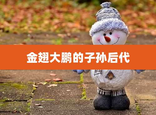 金翅大鹏的子孙后代