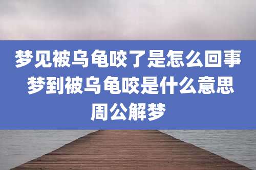 梦见被乌龟咬了是怎么回事 梦到被乌龟咬是什么意思周公解梦