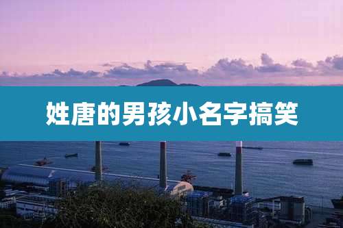 姓唐的男孩小名字搞笑