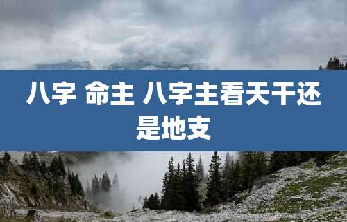 八字 命主 八字主看天干还是地支