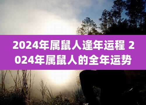 2024年属鼠人逢年运程 2024年属鼠人的全年运势