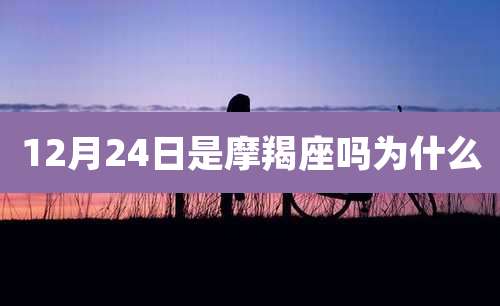 12月24日是摩羯座吗为什么