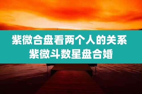 紫微合盘看两个人的关系 紫微斗数星盘合婚
