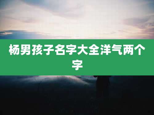 杨男孩子名字大全洋气两个字
