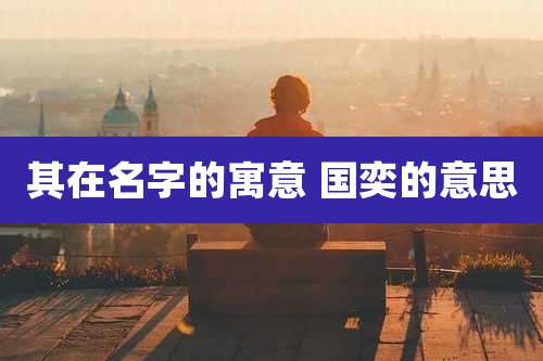 其在名字的寓意 国奕的意思