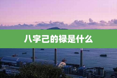 八字己的禄是什么