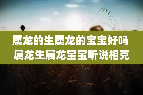属龙的生属龙的宝宝好吗 属龙生属龙宝宝听说相克