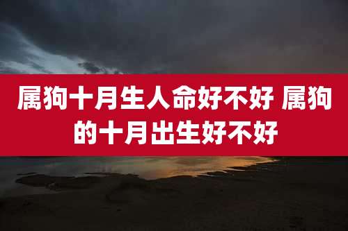 属狗十月生人命好不好 属狗的十月出生好不好