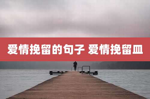 爱情挽留的句子 爱情挽留皿