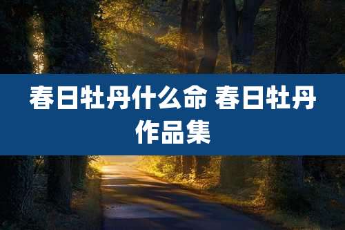 春日牡丹什么命 春日牡丹作品集