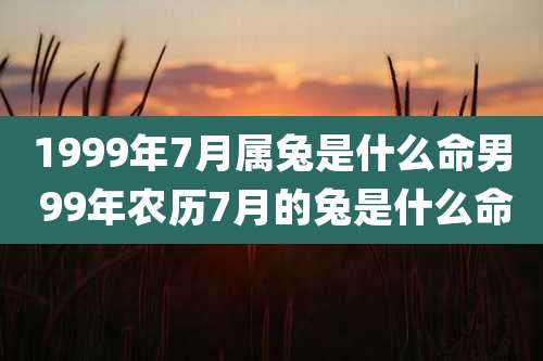 1999年7月属兔是什么命男 99年农历7月的兔是什么命