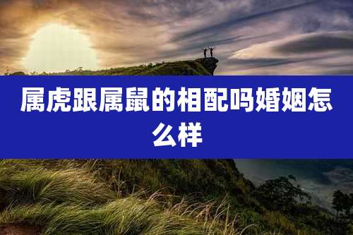 属虎跟属鼠的相配吗婚姻怎么样